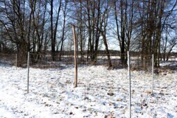 Vergrößern Beispielaufnahme Halboffenlandstruktur mit dichten Gebüschpflanzungen als Trupp und Sitzstange